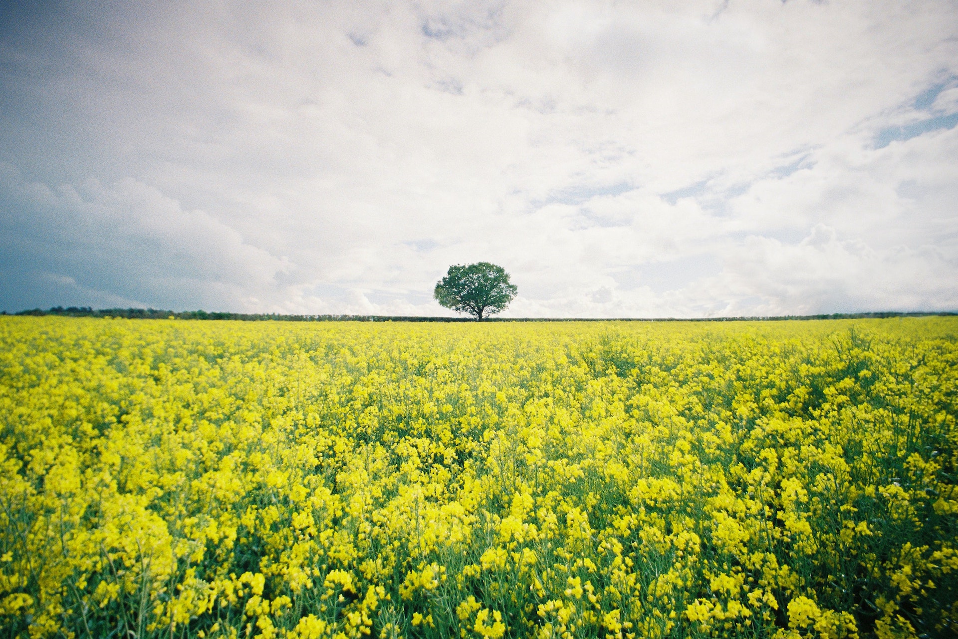 hertfordshire